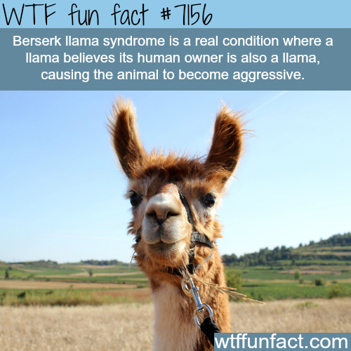 21 weird facts