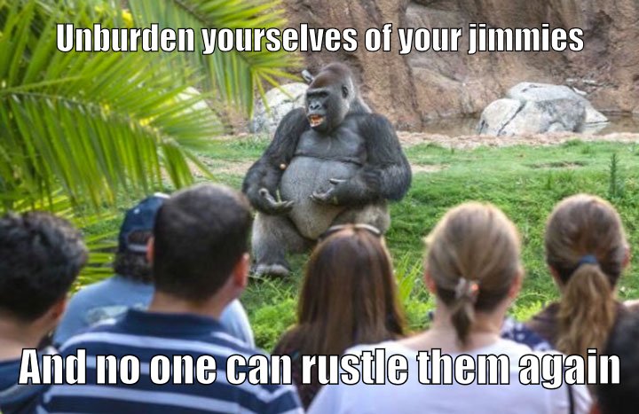 People are going ape over the new self-help guru.