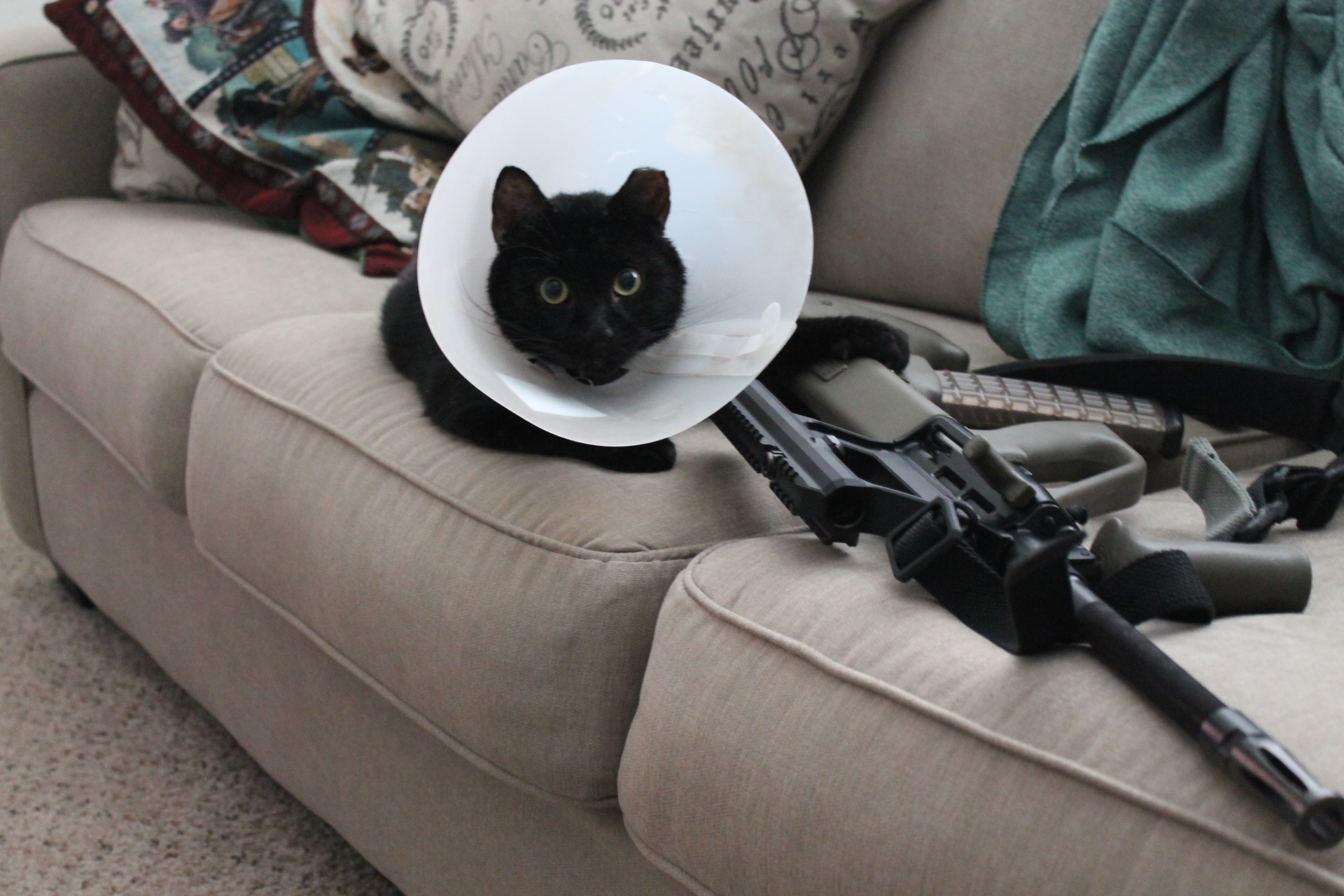 Caturday pic of a cat wearing a cone of shame sitting by a rifle