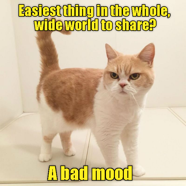 Caturday meme about passing your bad mood around