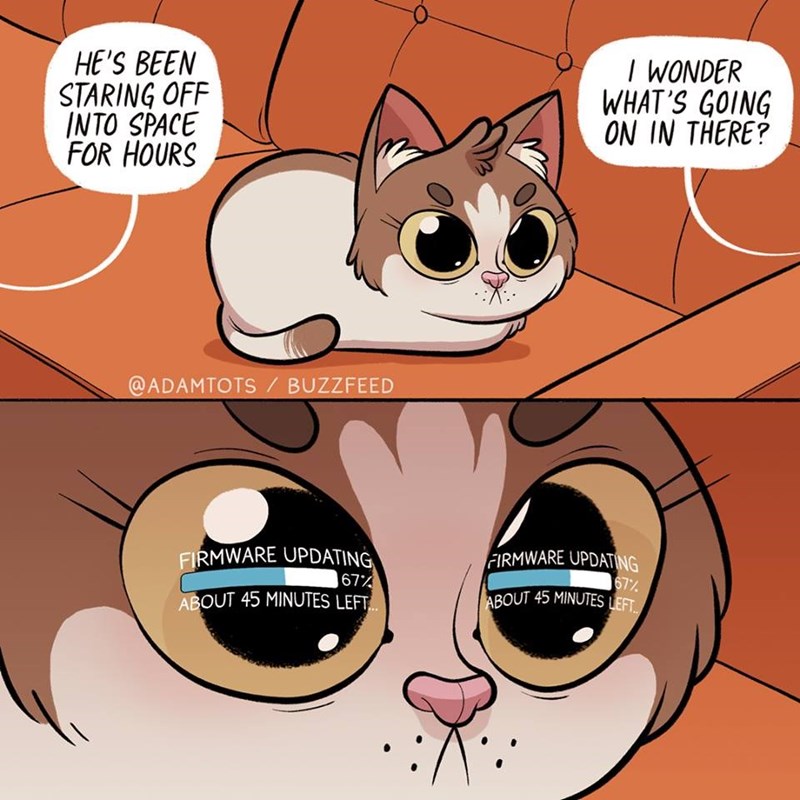 Caturday comic about cats updating their software