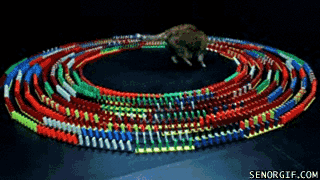 Caturday gif of a cat inside a domino circle