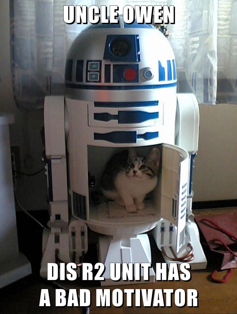 Caturday meme of a cat inside a R2D2 unit