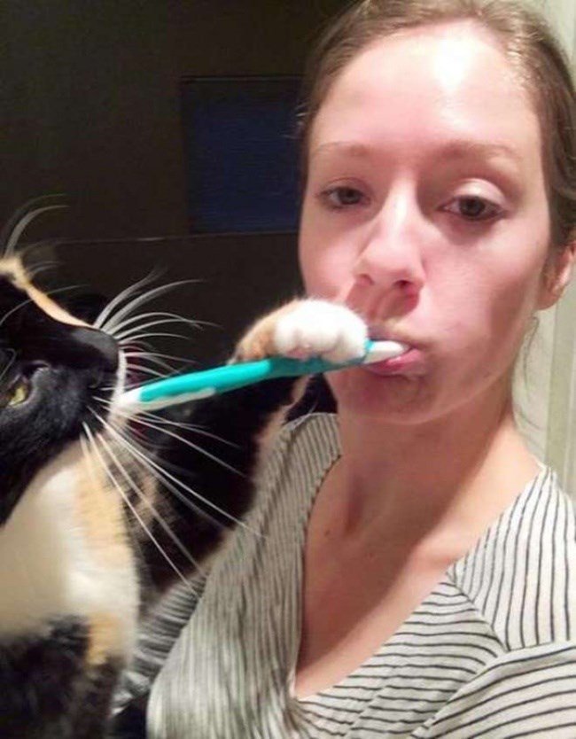 Caturday meme of a cat helping a woman brush her teeth
