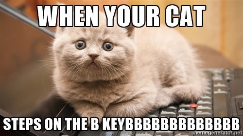Caturday meme about cats stepping on keyboards