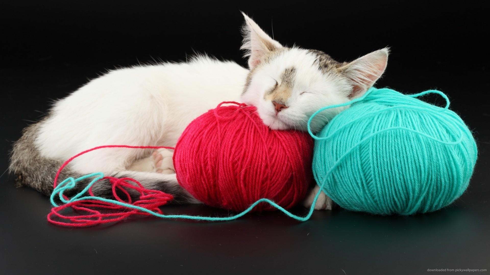 Caturday pic of a cat sleeping among yarn balls