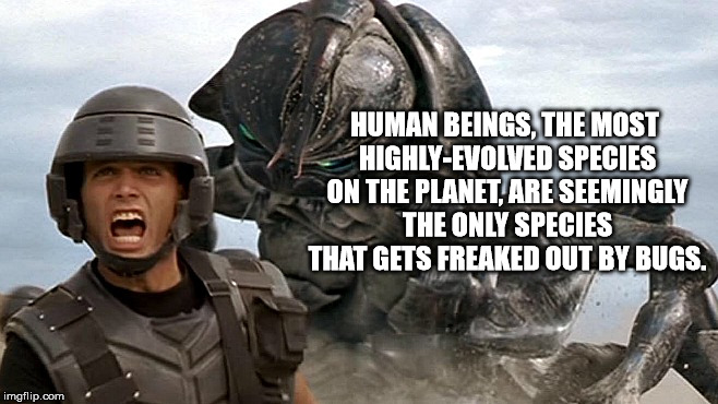 Shower thought about how humans are the most powerful species and also the only species freaked out by bugs.