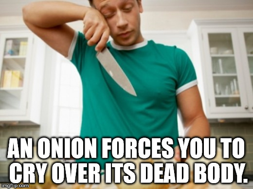 Shower thought about how onion forces you to cry over it's dead body.