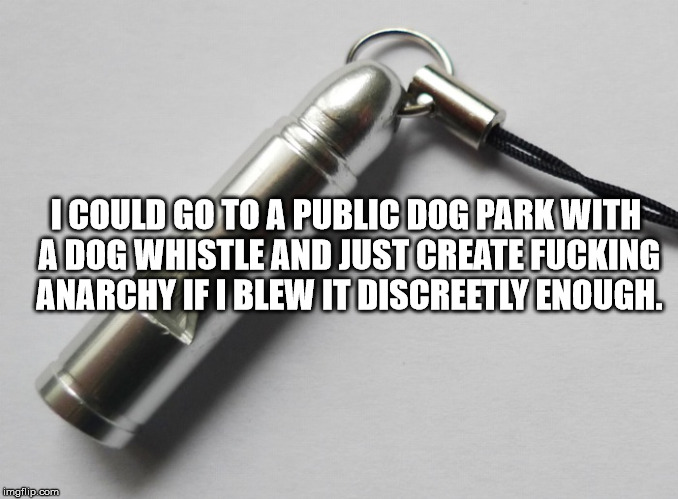 Shower thought about how much trouble you could start in a dog park with a dog whistle