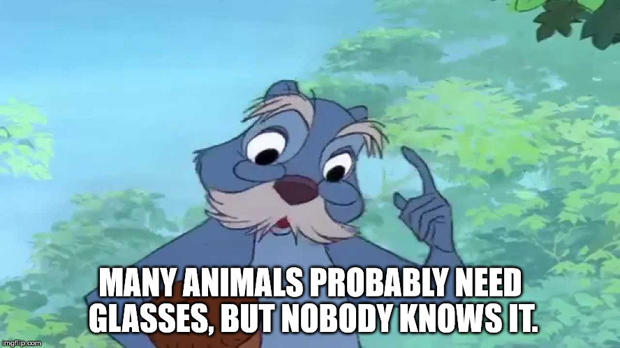 Shower thought about how many animals probably need glasses but nobody knows it.