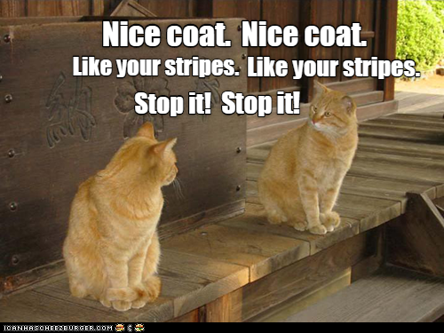 Caturday meme about copycats