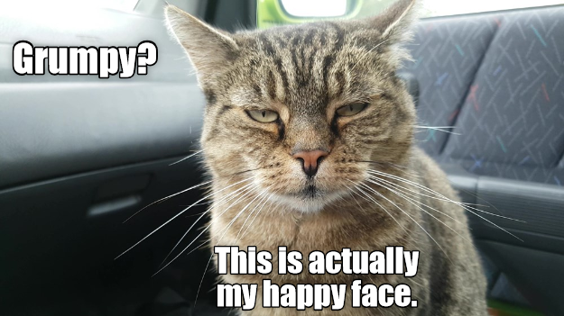 Caturday meme of a cat with a rbf