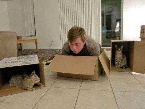 Caturday pic of a man and a cat sitting in boxes