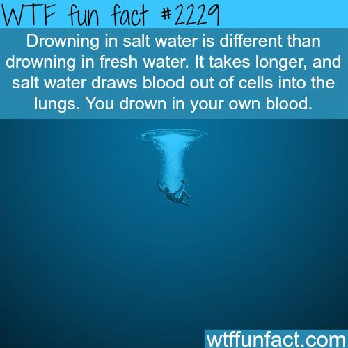 27 Weird Facts