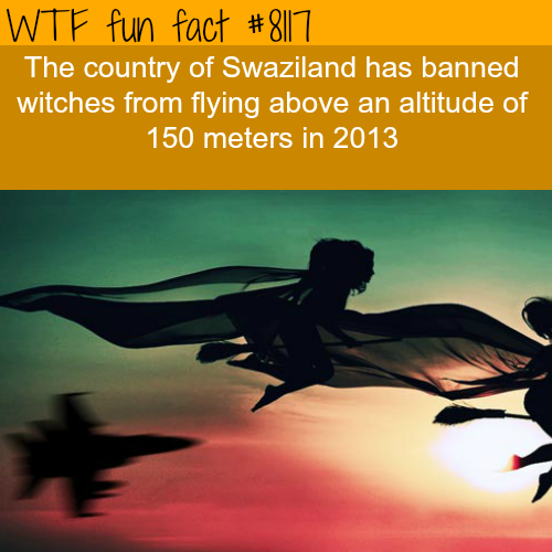 27 Weird Facts