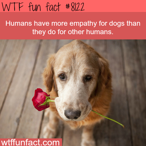 27 Weird Facts