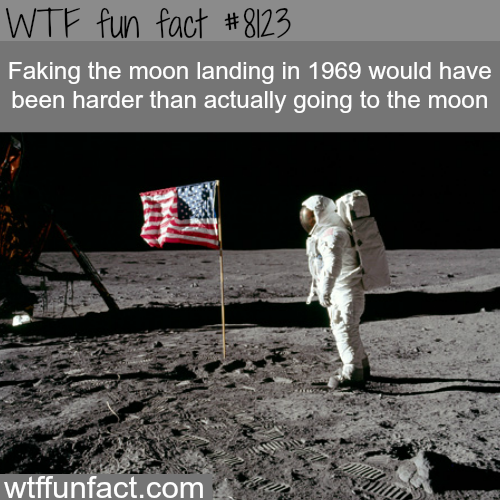 27 Weird Facts