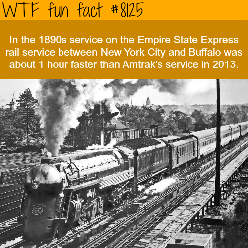 27 Weird Facts