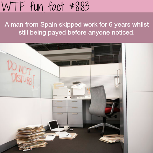 30 Weird and Random Facts