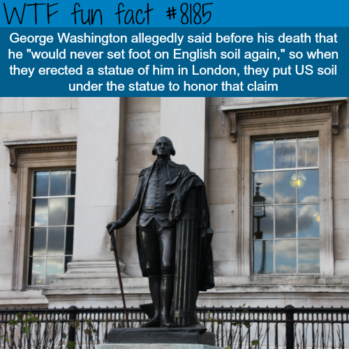 30 Weird and Random Facts