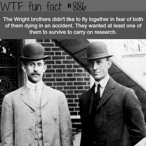 30 Weird and Random Facts