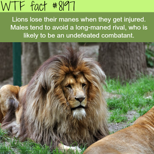 30 Weird and Random Facts