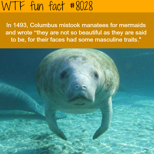 30 Weird and Random Facts