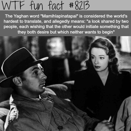 noir films - Wtf fun fact The Yaghan word "Mamihlapinatapai" is considered the world's hardest to translate, and allegedly means "a look d by two people, each wishing that the other would initiate something that they both desire but which neither wants to