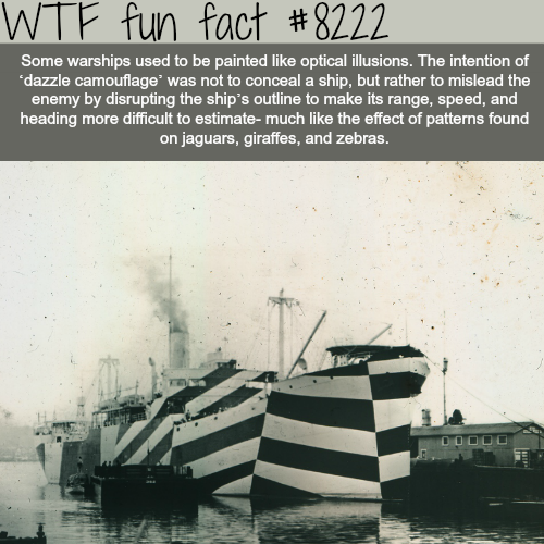 dazzle camouflage - Wtf fun fact Some warships used to be painted optical illusions. The intention of dazzle camouflage' was not to conceal a ship, but rather to mislead the enemy by disrupting the ship's outline to make its range, speed, and heading more