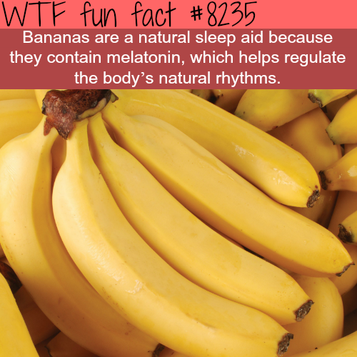 word cookies cheats banana 3 - Wtf fun fact Bananas are a natural sleep aid because they contain melatonin, which helps regulate the body's natural rhythms.