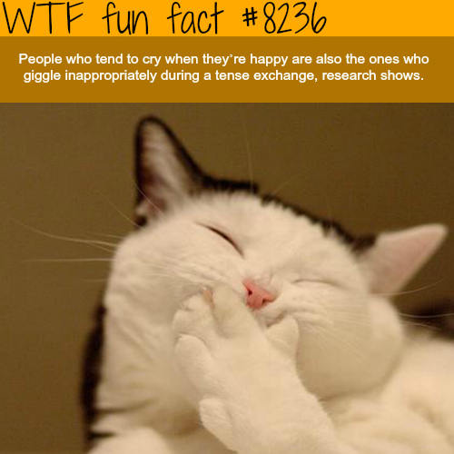 wtf happy funny fact - Wtf fun fact People who tend to cry when they're happy are also the ones who giggle inappropriately during a tense exchange, research shows.