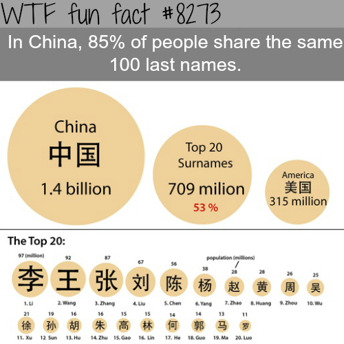wtf facts names - Wtf fun fact | In China, 85% of people the same 100 last names. China 1.4 billion Top 20 Surnames 709 milion 53 % America 315 million | The Top 20 Pan population mill ,E 3.Zhang 4. S. Chen Yang 7.Tho . Huang 8. Zhou 10. 11. 11 12 18 13. 