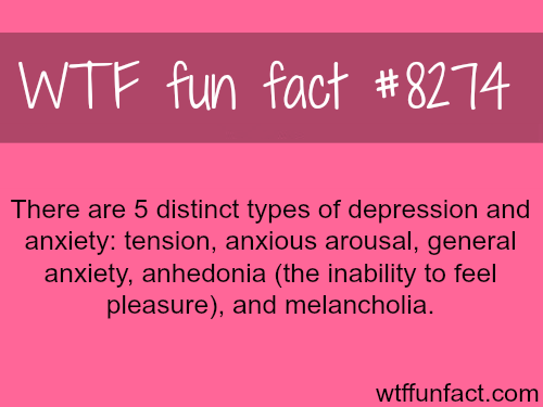 stadium australia - Wtf fun fact There are 5 distinct types of depression and anxiety tension, anxious arousal, generall anxiety, anhedonia the inability to feel pleasure, and melancholia. wtffunfact.com