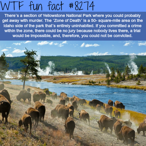 yellowstone nationalpark - Wtf fun fact There's a section of Yellowstone National Park where you could probably get away with murder. The Zone of Death is a 50squaremile area on the Idaho side of the park that's entirely uninhabited. If you committed a cr