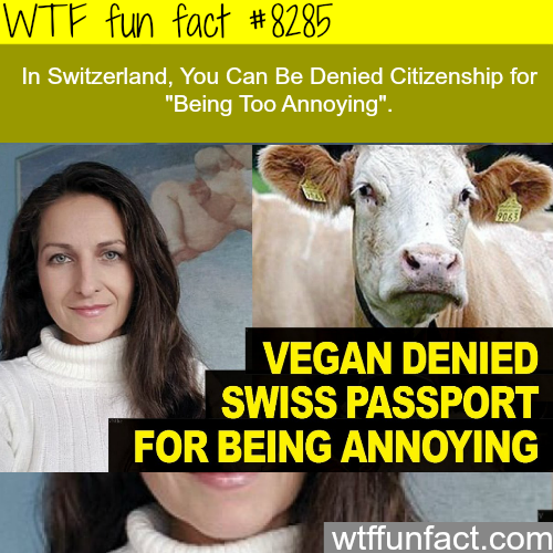 wtf facts about vegan - Wtf fun fact In Switzerland, You Can Be Denied Citizenship for "Being Too Annoying". Vegan Denied Swiss Passport For Being Annoying wtffunfact.com