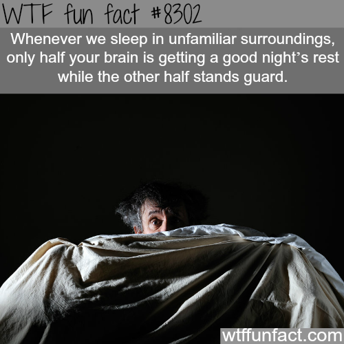 29 Weird Facts
