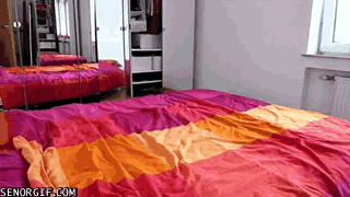 Caturday gif of a cat running around a bed