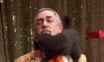 Caturday gif of a cat walking around a man's neck