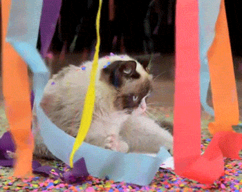 Caturday gif of grumpy cat at a party