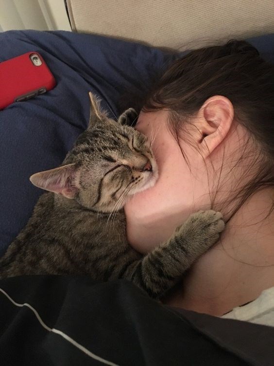 Caturday pic of a cat cradling a human's face