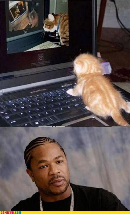 Caturday meme of a loop of cats watching cats on screen with Xzibit looking intrigued