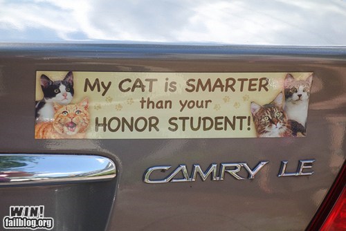 Caturday pic of a bumper sticker about genius cats