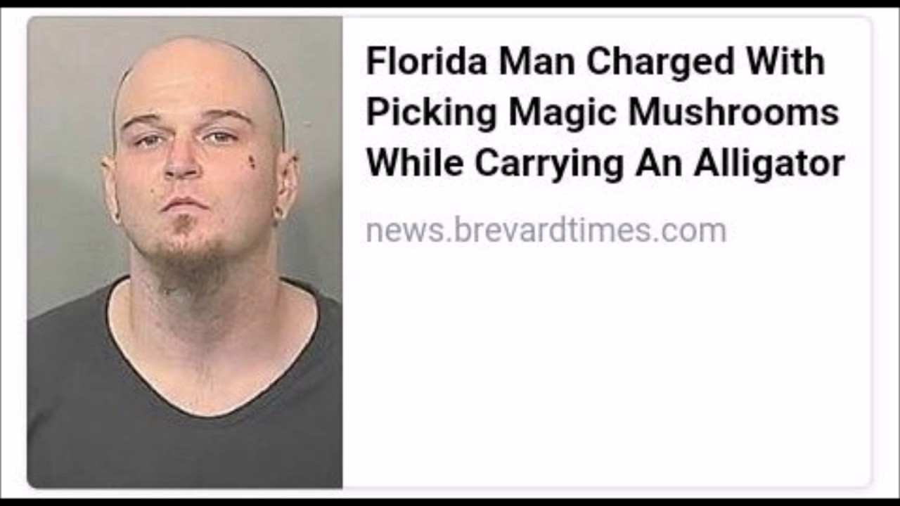 florida man funny - Florida Man Charged With Picking Magic Mushrooms While Carrying An Alligator news.brevardtimes.com