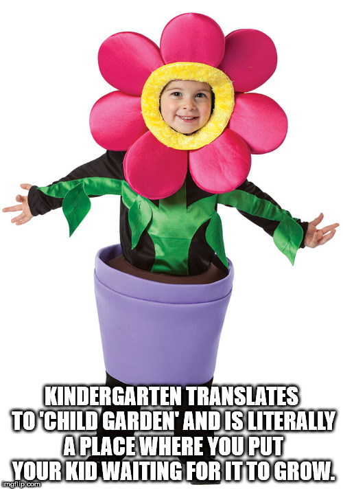 flower - Kindergarten Translates To'Child Garden' And Is Literally A Place Where You Put Your Kid Waiting For Itto Grow. imgflip.com