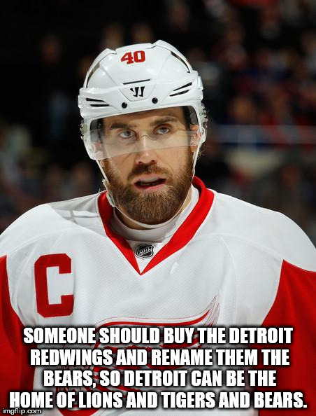 zetterberg detroit red wings - Someone Should Buy The Detroit Redwings And Rename Them The Bears, So Detroit Can Be The Home Of Lions And Tigers And Bears. imgflip.com
