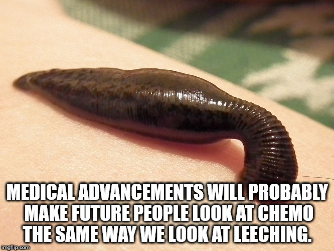 ringed worm - Medical Advancements Will Probably Make Future People Look At Chemo The Same Way We Look At Leeching. imgflip.com