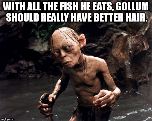 lord of the rings gollum - With All The Fish He Eats, Gollum Should Really Have Better Hair. imgflip.com