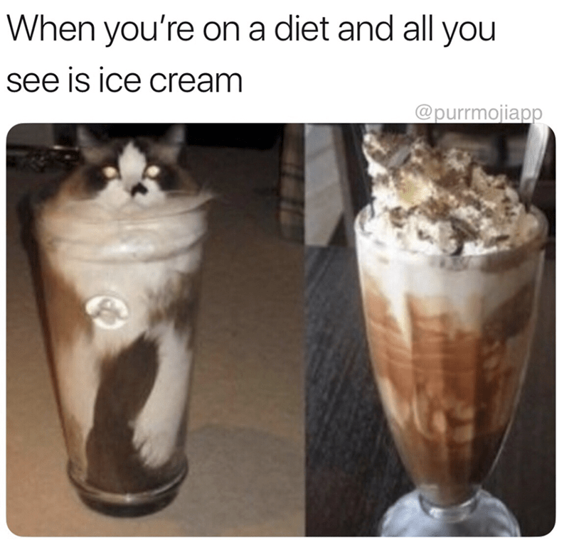 Caturday meme about being on a diet with a pic of a cat inside a tall glass