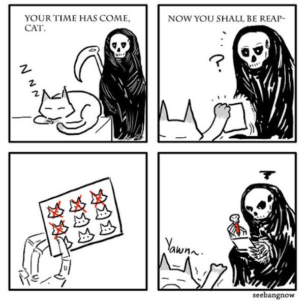 Caturday comic about the grim reaper coming to collect a cat that still has some lives left