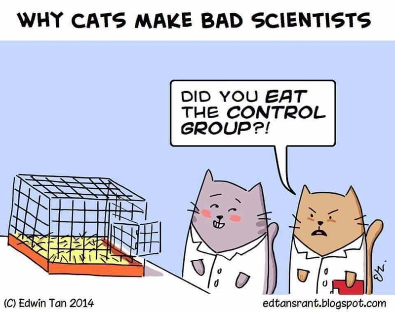 Caturday meme about scientist cats eating the lab rats